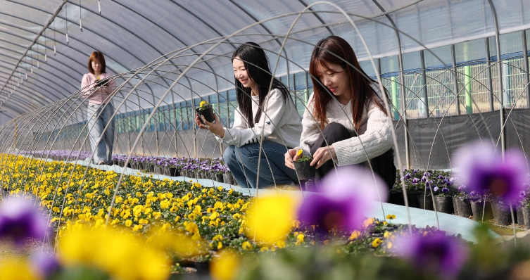 대전 동구, 봄 맞이 꽃향 가득 ‘친환경 도시’ 조성 속도 기사 이미지