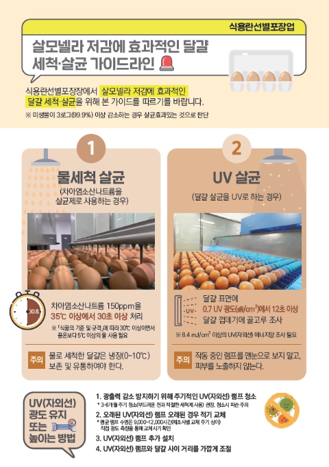 식약처, 달걀 세척·살균은 이렇게 하세요 기사 이미지