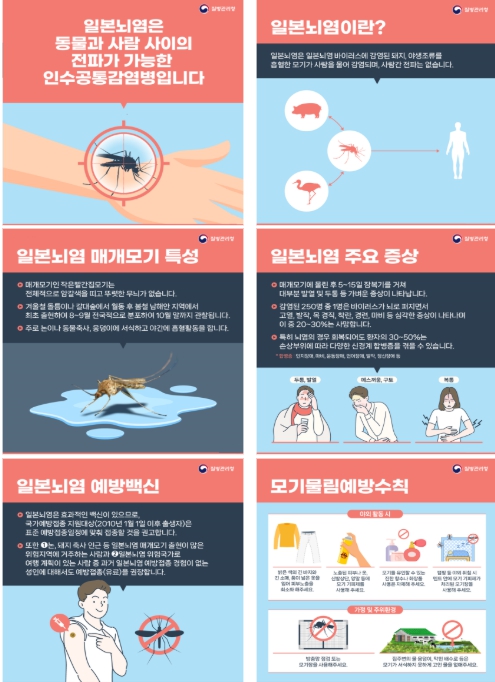 제주에서 올해 첫 일본뇌염 매개모기 확인.…주의보 발령에 예방수칙 당부 기사 이미지