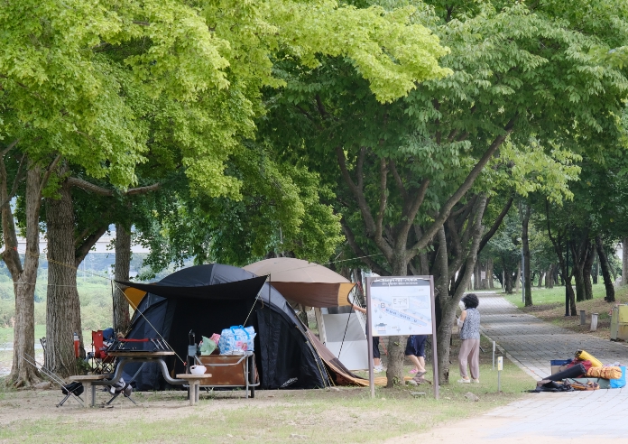 명품 휴양지 영동 송호관광지, 봄과 함께 오는 4월 3일 야영장 개장 기사 이미지