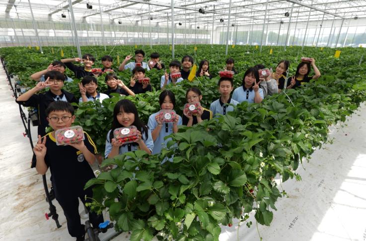 유성구, ‘유성온마을별’ 마을 교육 스마트팜 체험 기사 이미지